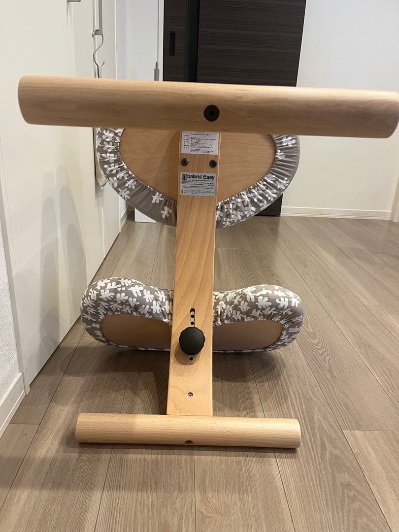 【取説つき】バランスイージー Balans Easy｜バランスラボ正規品