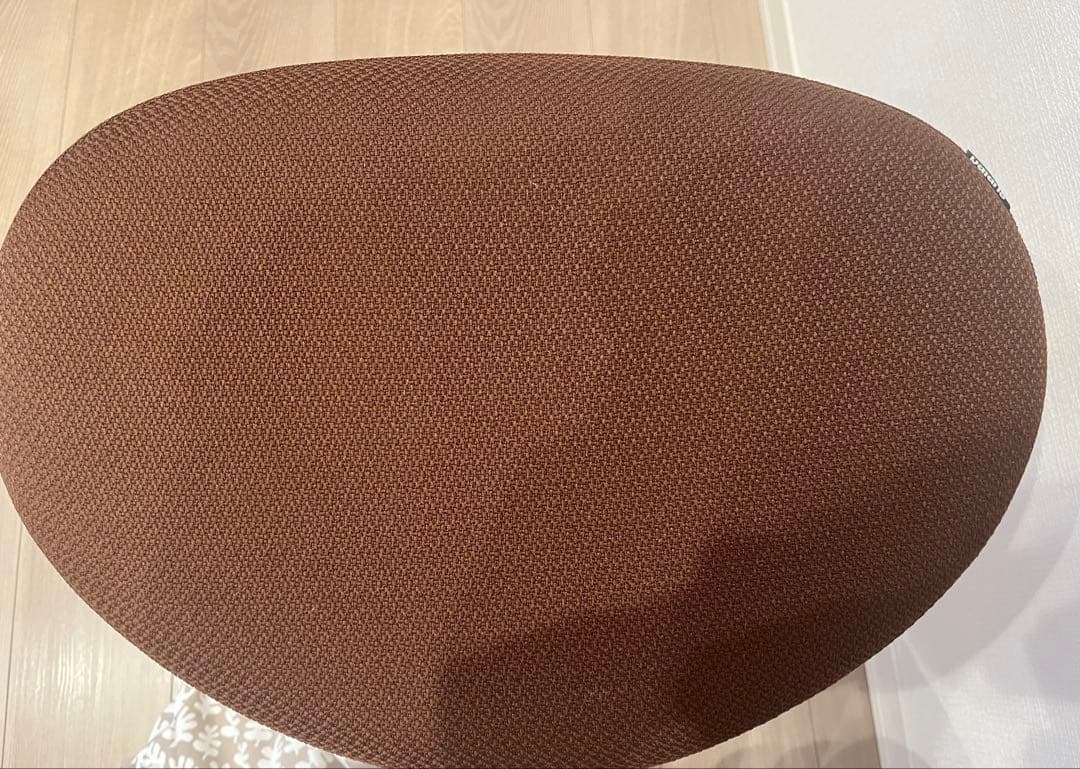 【取説つき】バランスイージー Balans Easy｜バランスラボ正規品