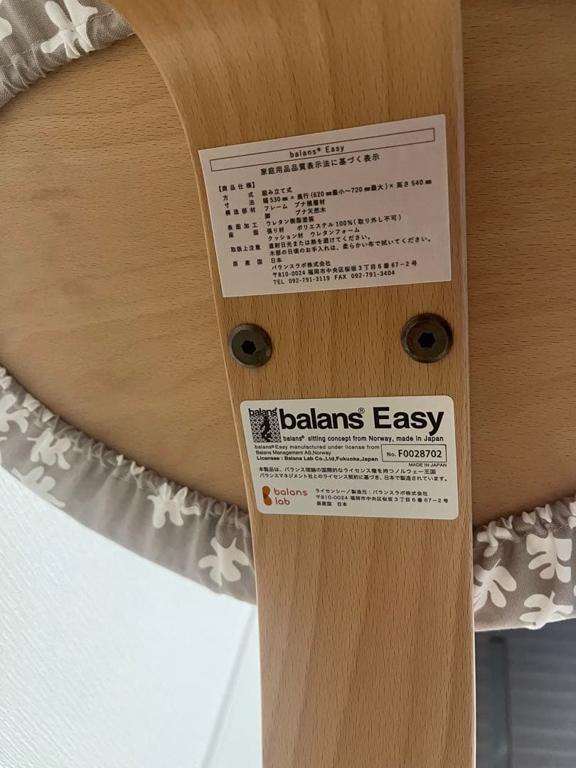 【取説つき】バランスイージー Balans Easy｜バランスラボ正規品