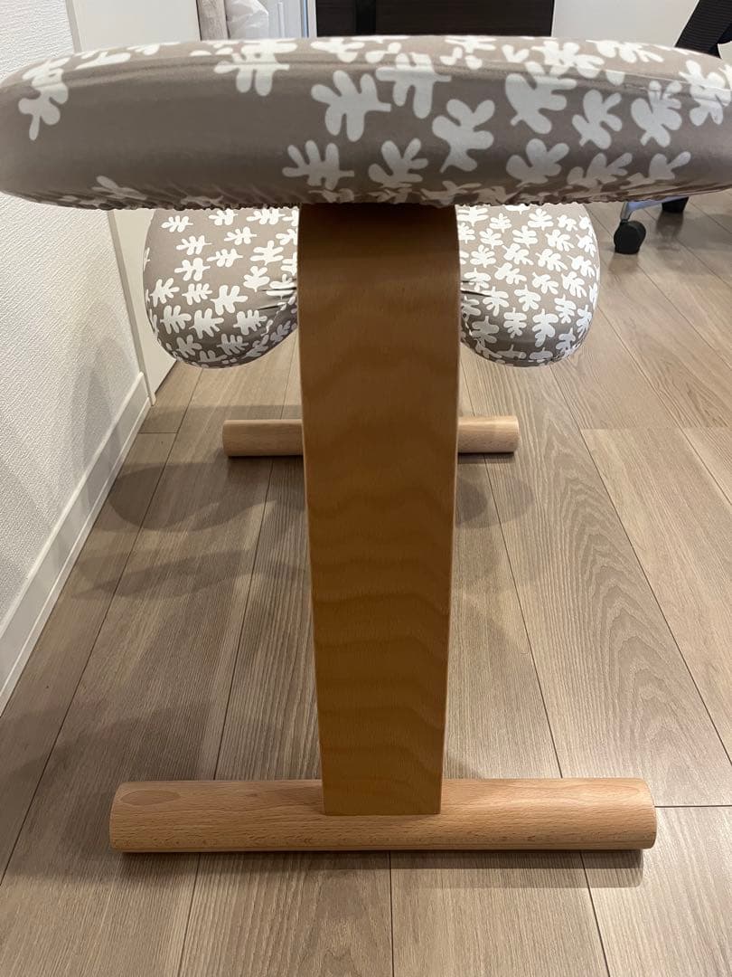 【取説つき】バランスイージー Balans Easy｜バランスラボ正規品