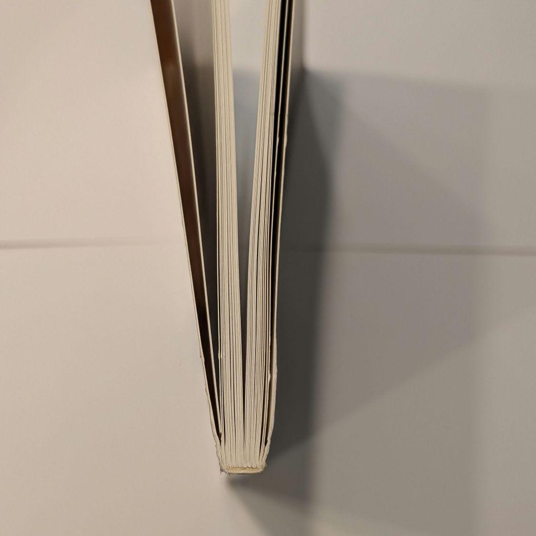 佐内正史　 生きている　 2001年　第二版