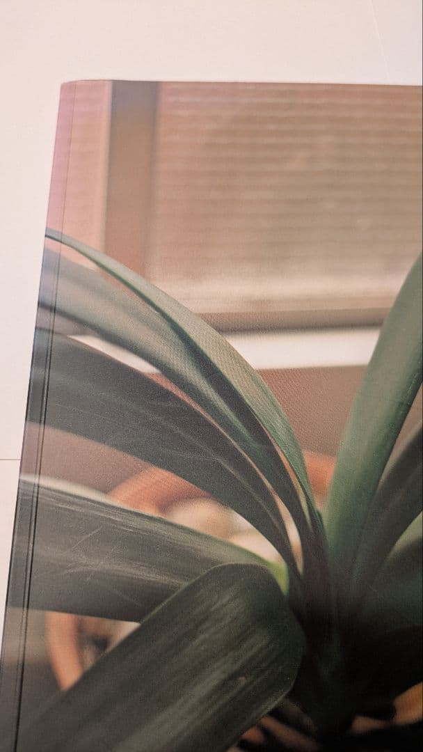 佐内正史　 生きている　 2001年　第二版