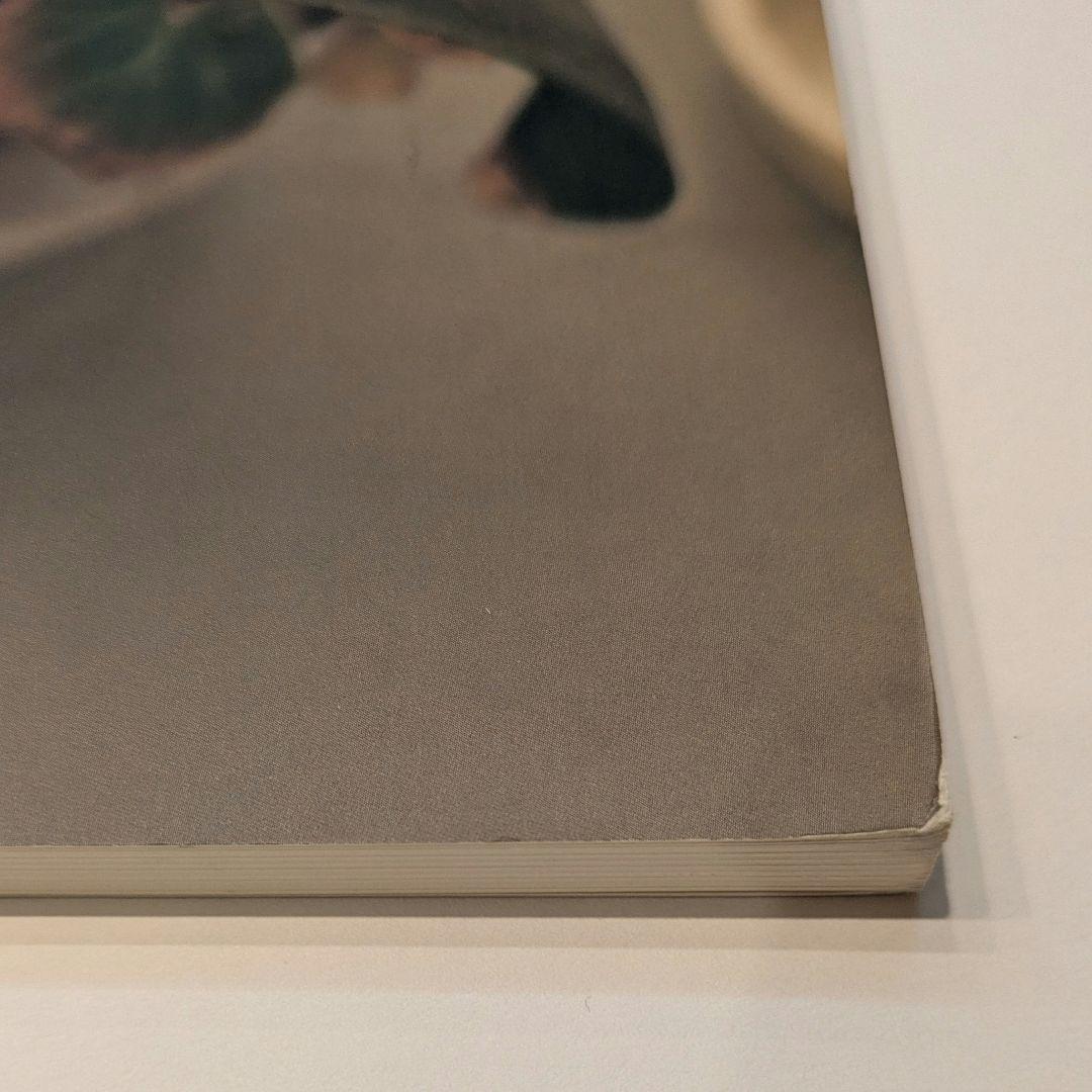 佐内正史　 生きている　 2001年　第二版