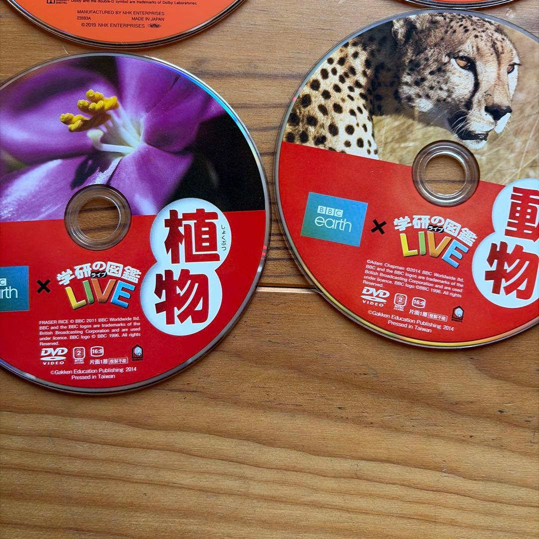 MOVE 子供向け教育DVDシリーズ ＆学研DVD12枚セット