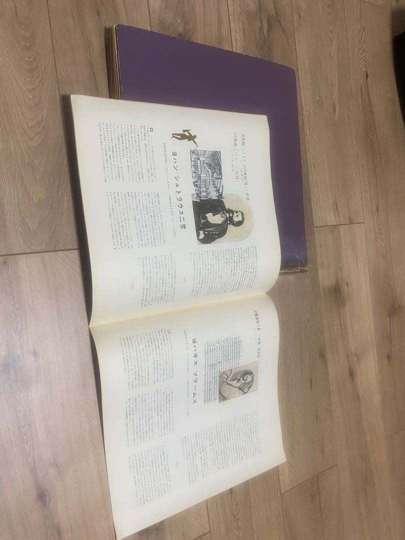 メ*ル様 クラシック LPレコード ボックスセット 全100枚＋世界名曲集12枚