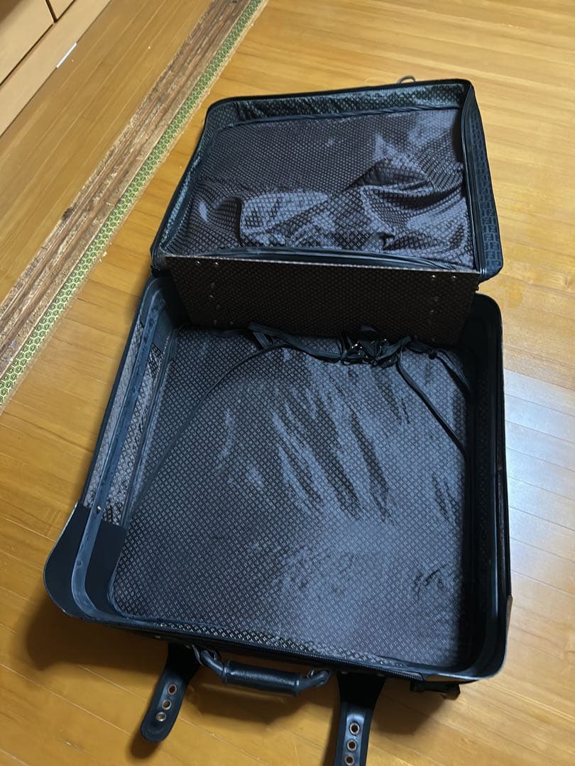 Fendi キャリーバック