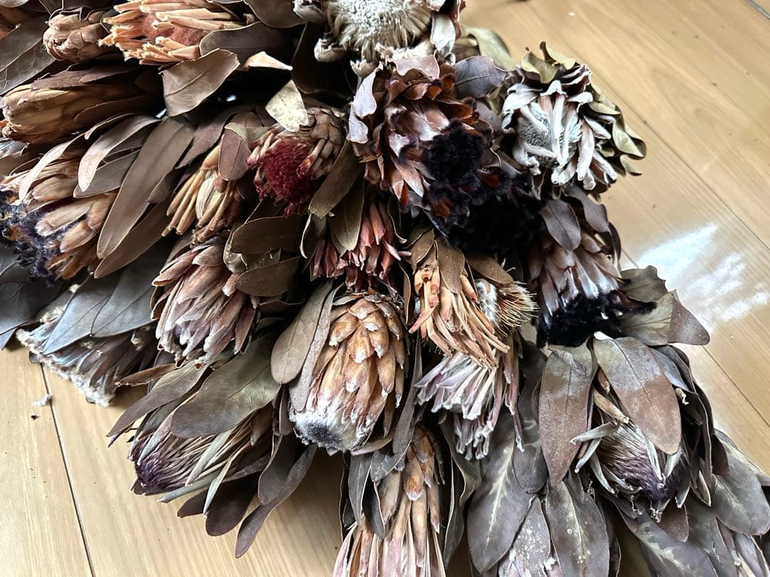 在庫整理‼️プロテア 35本