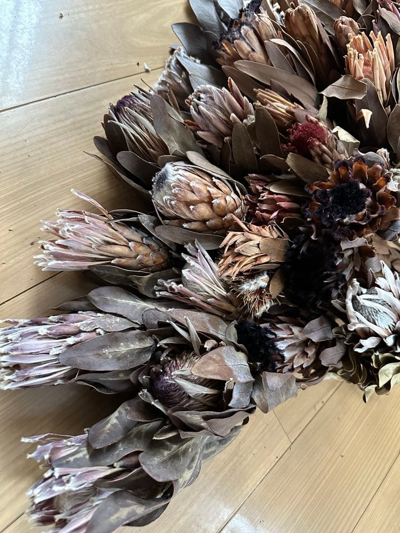 在庫整理‼️プロテア 35本