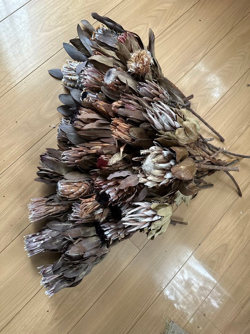 在庫整理‼️プロテア 35本