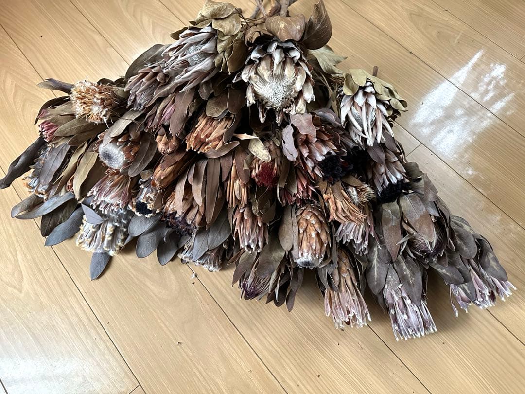 在庫整理‼️プロテア 35本