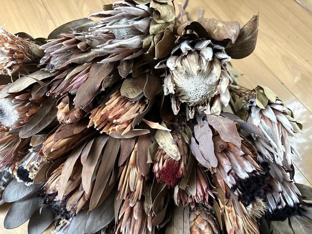 在庫整理‼️プロテア 35本