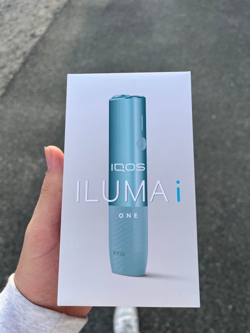 ニンテンドー3DS/2DS rin_ca