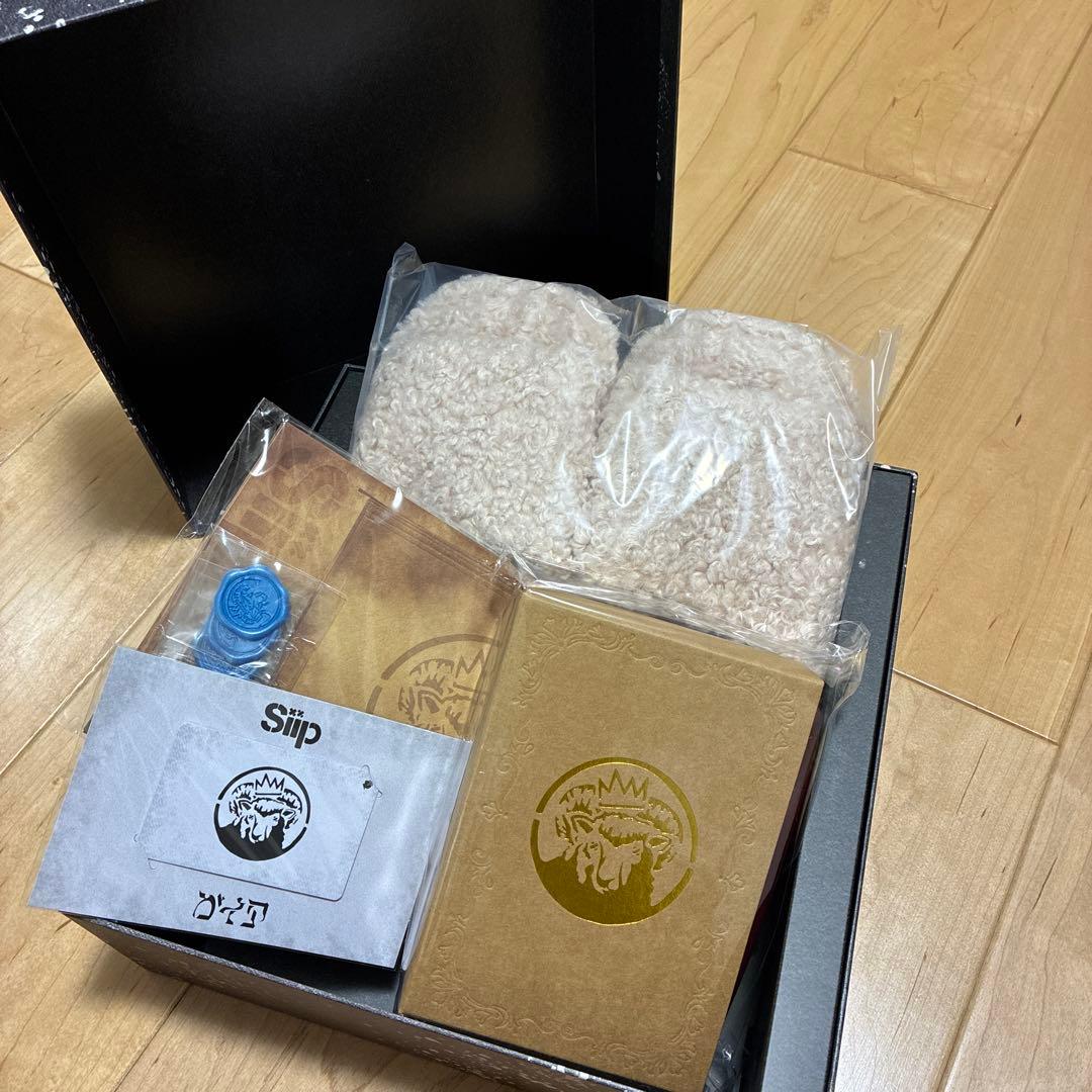 【完全生産限定盤】 siip ガイア　ダウンロードカード+GOODS 未開封