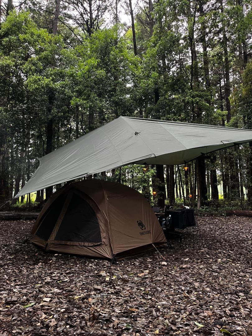 ベ*ル様 【1回使用】SCAENA / OneTigris（ワンティグリス）