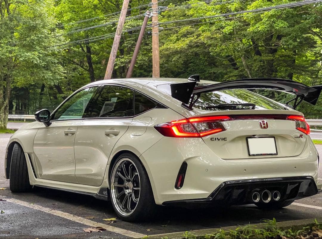 【ResultJapan カーボンGTウイング】シビックタイプR（fl5）用