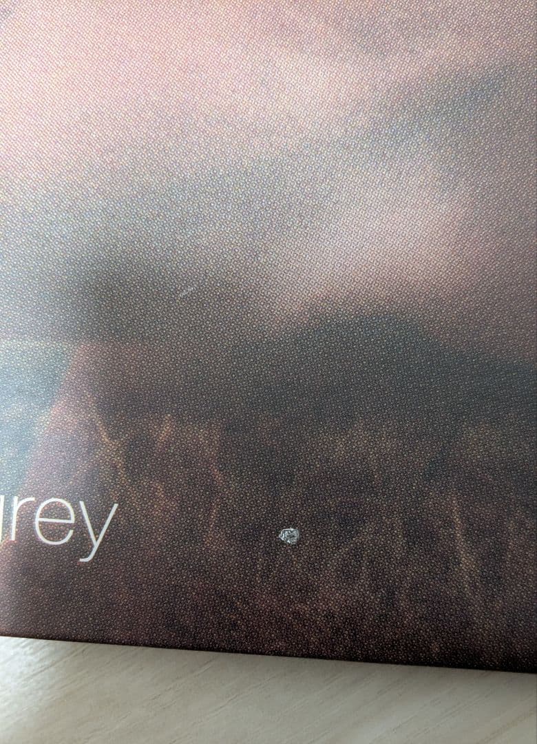 （帯付き）DIR EN GREY『GAUZE』レコード・LP