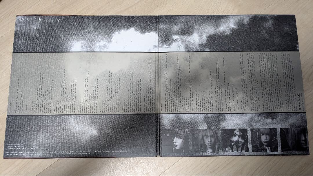 （帯付き）DIR EN GREY『GAUZE』レコード・LP