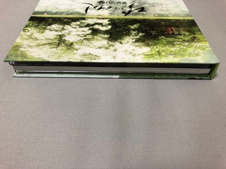 麗 花萌ゆる8人の皇子たち サウンドトラック 台湾独占限定盤 CD DVD