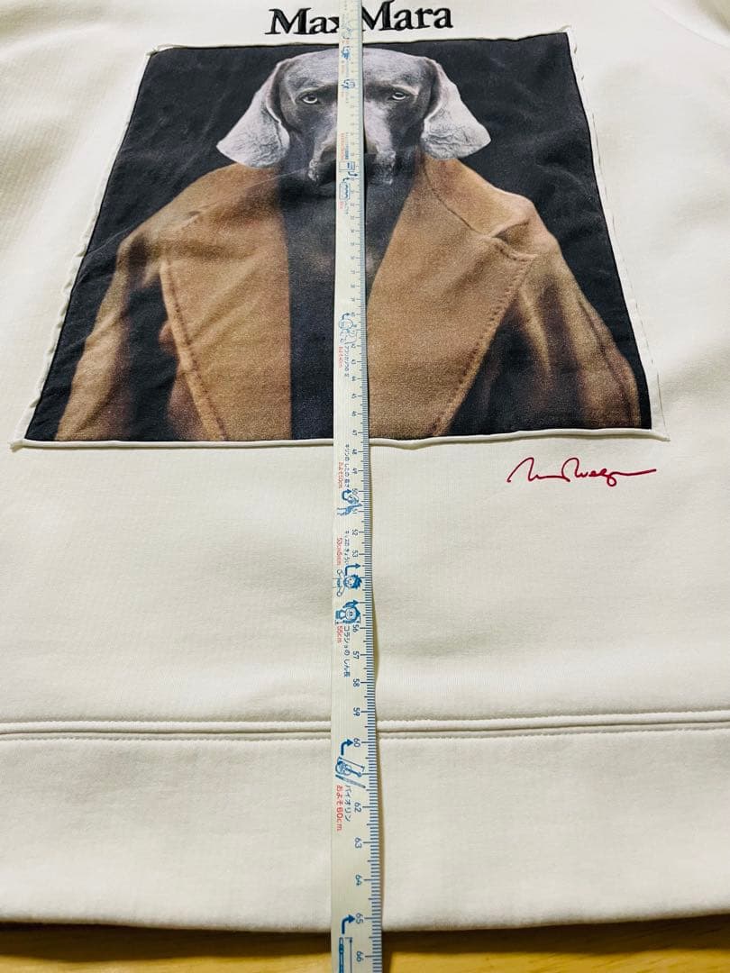 MAX MARA マックスマーラ バッコ コットン ジャージー スウェットXS