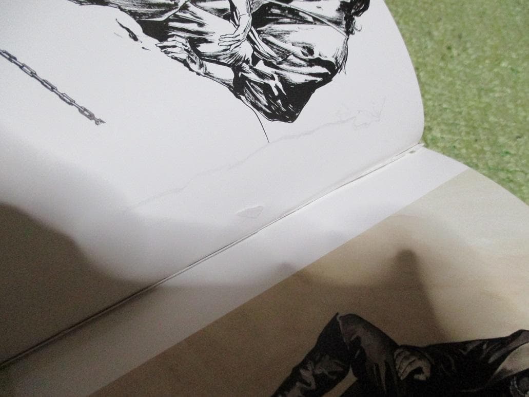 小島文美 画集 Santa Lilio Sangre 緋いユリ　中古品