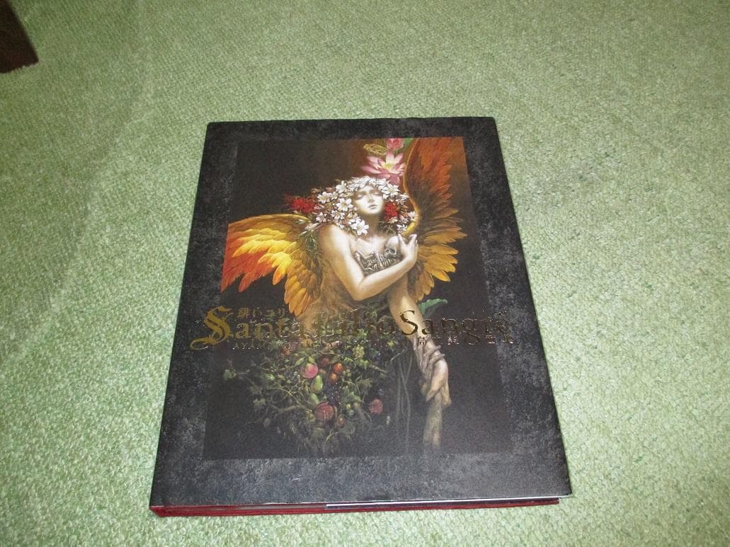 小島文美 画集 Santa Lilio Sangre 緋いユリ　中古品