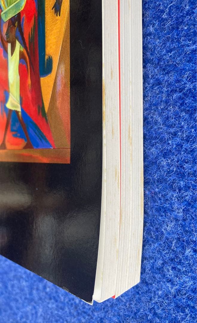 インディオの祭　竹田鎮三郎メキシコ画集