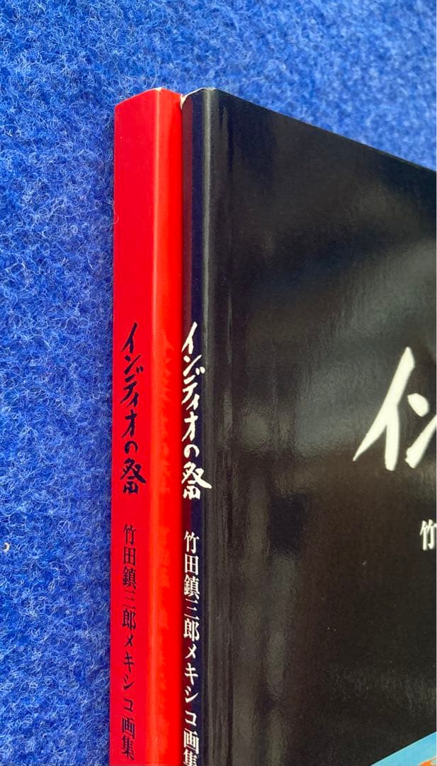 インディオの祭　竹田鎮三郎メキシコ画集