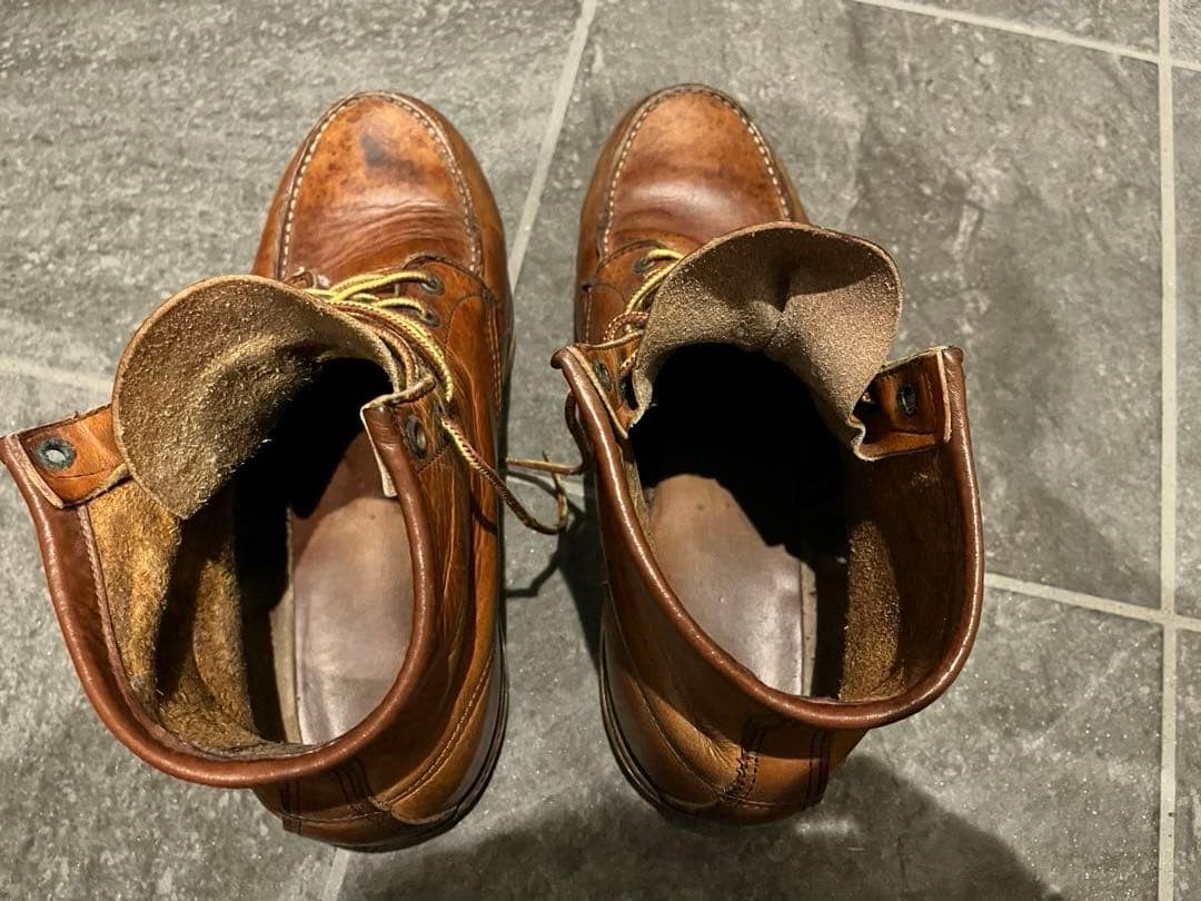 レッドウイング　875 犬刻印102E