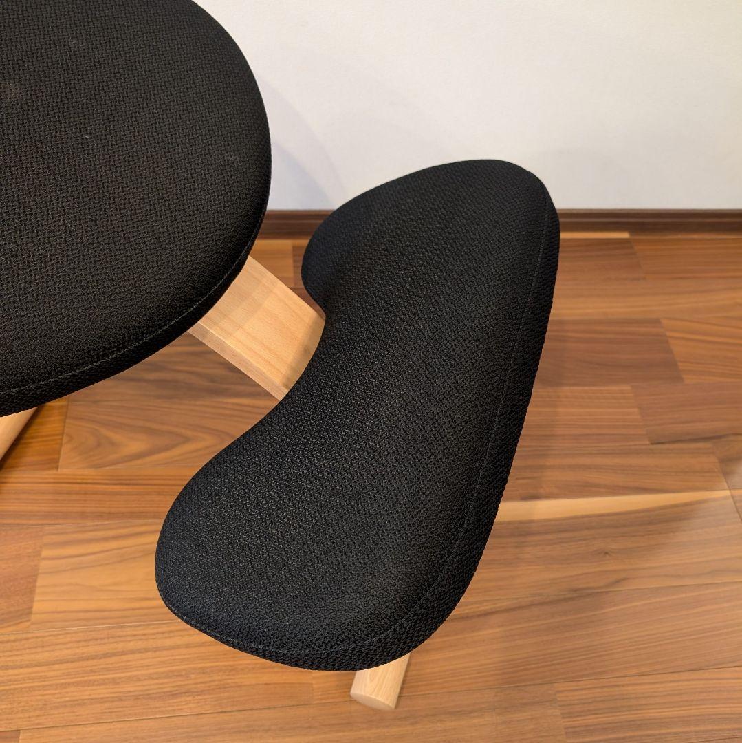 バランスラボ バランスチェア バランスイージー ブラック 通常フレーム 中古美品