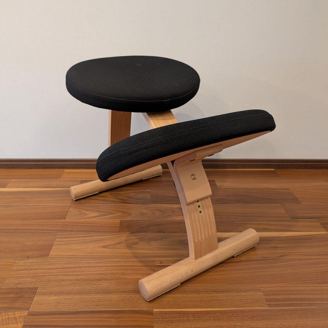 バランスラボ バランスチェア バランスイージー ブラック 通常フレーム 中古美品