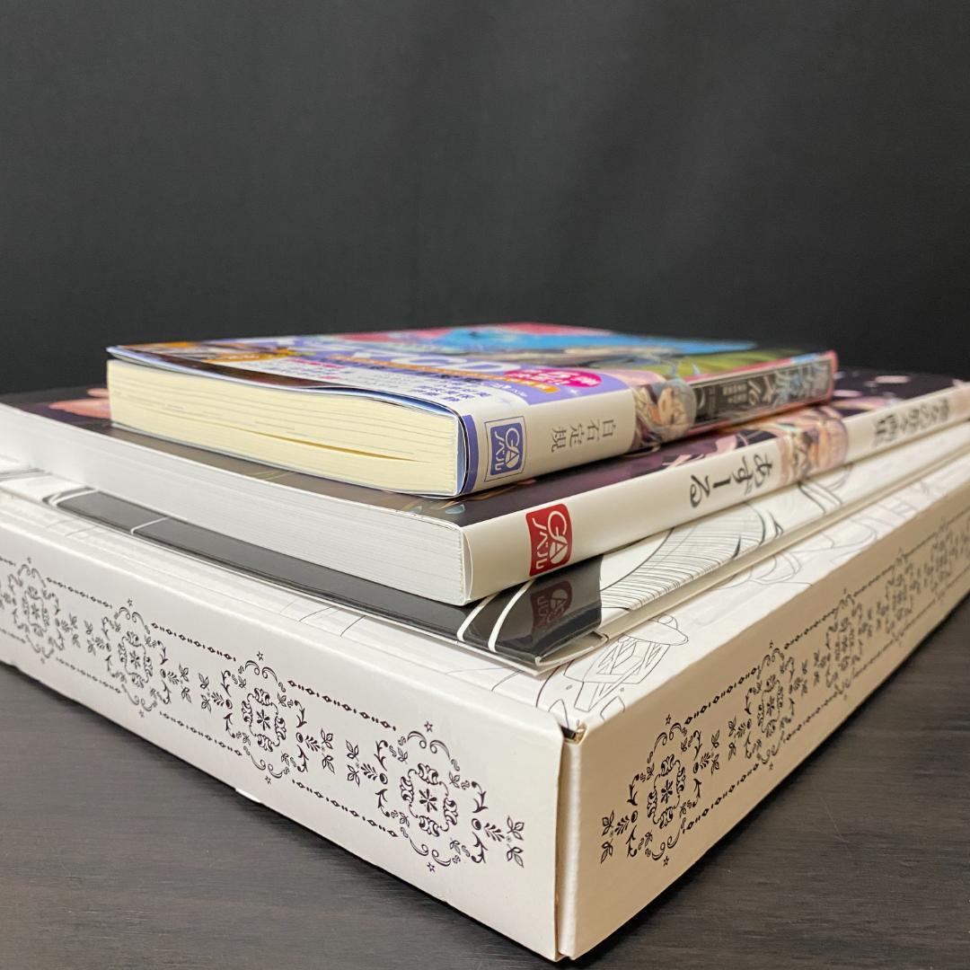 アニメイト 限定版 魔女の旅々 16巻 画集付き豪華特装版 イラスト集 イレイナ