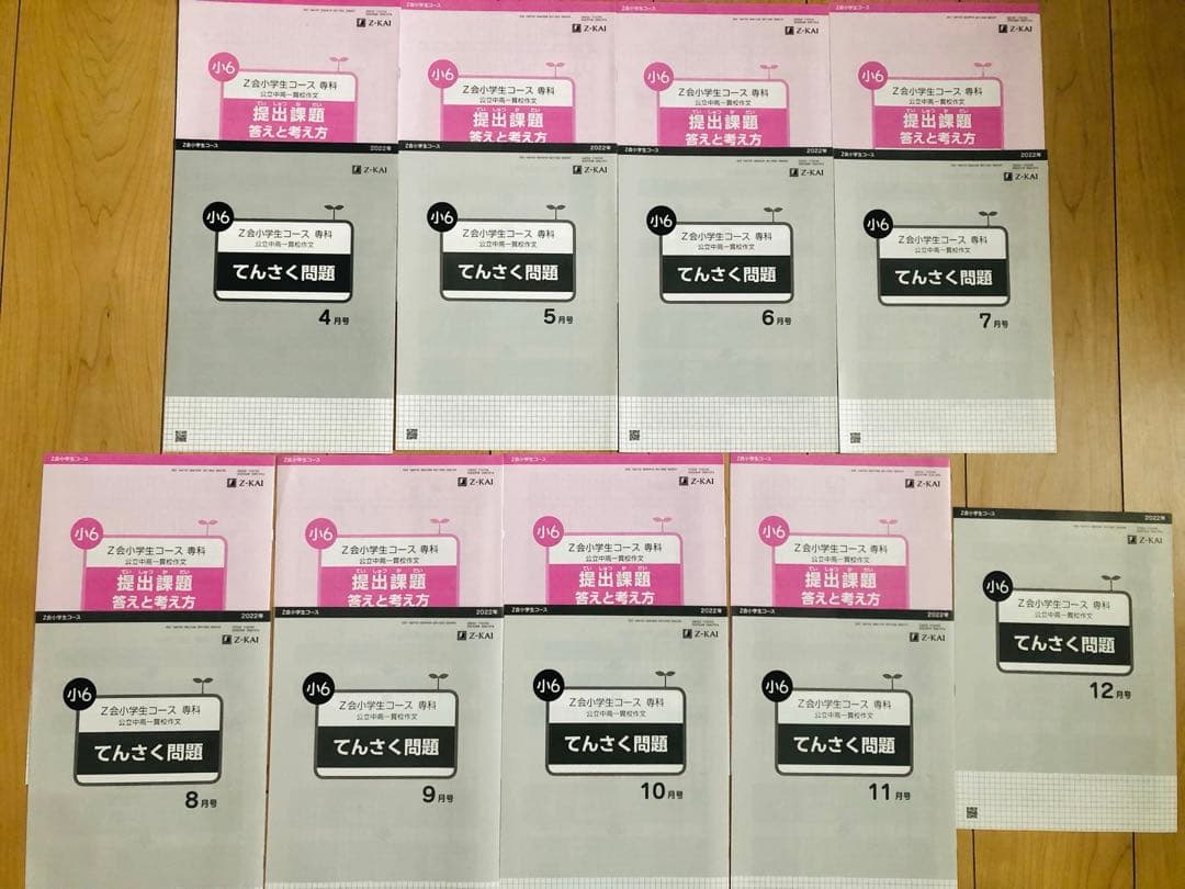 Z会 エブリスタディ 小6 公立中高一貫適性検査&作文　他