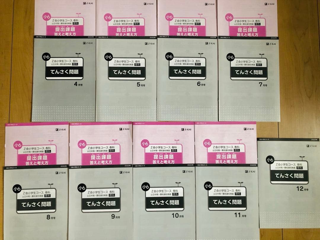 Z会 エブリスタディ 小6 公立中高一貫適性検査&作文　他