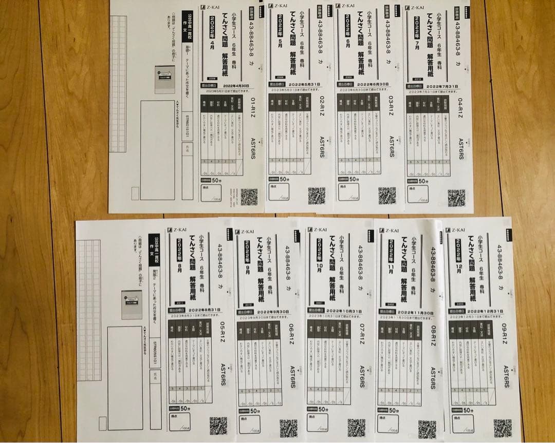 Z会 エブリスタディ 小6 公立中高一貫適性検査&作文　他