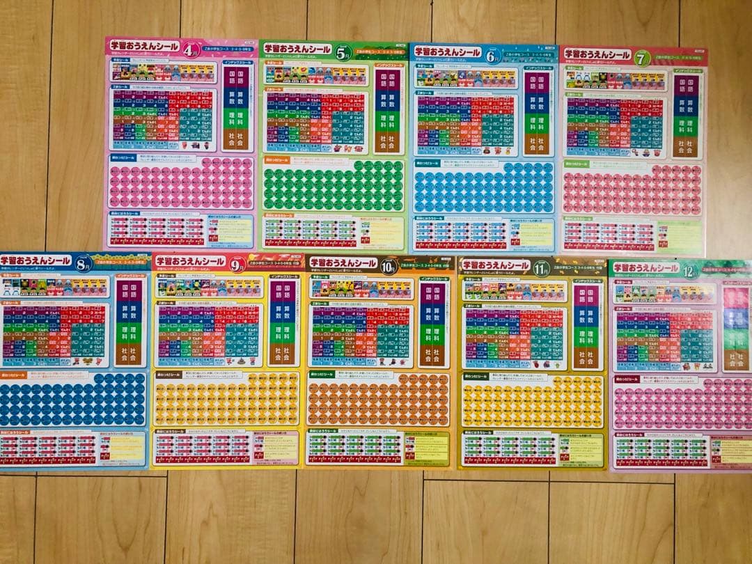 Z会 エブリスタディ 小6 公立中高一貫適性検査&作文　他