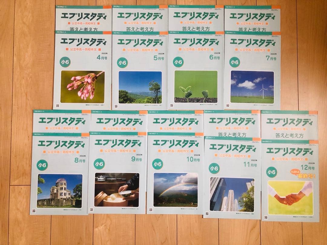 Z会 エブリスタディ 小6 公立中高一貫適性検査&作文　他