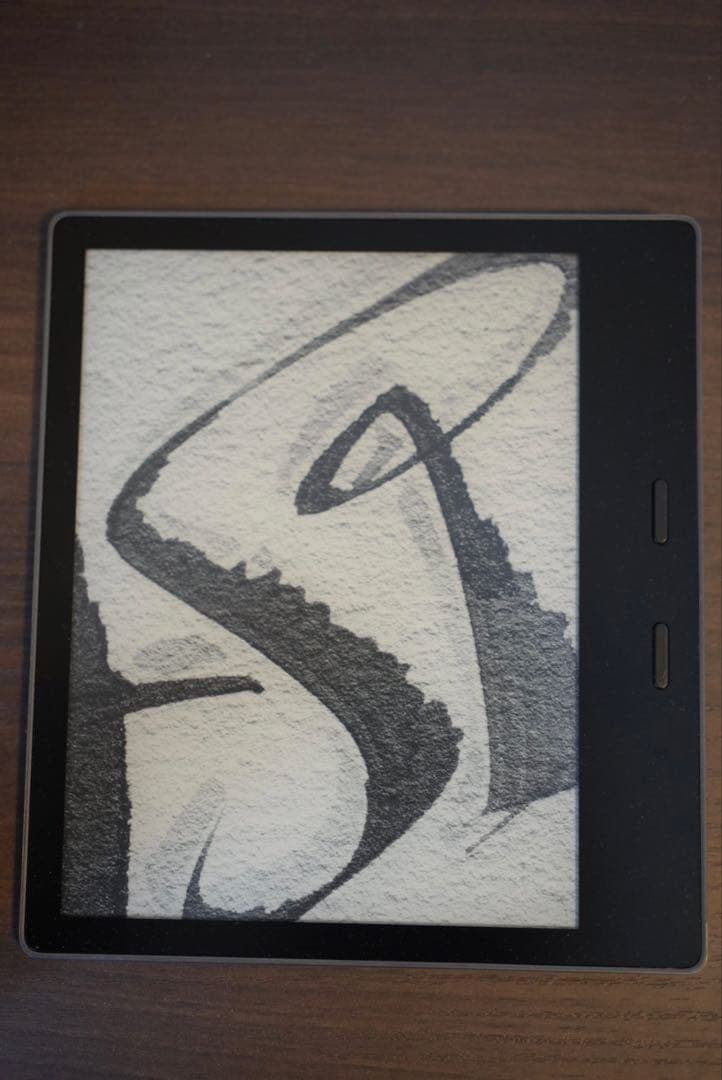 美品 Kindle Oasis 第10世代 32GB wifi+LTE 広告なし