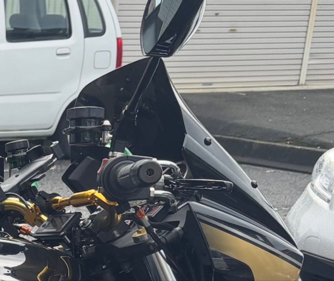 zrx1200 ダエグ ゼログラビティスクリーン美品