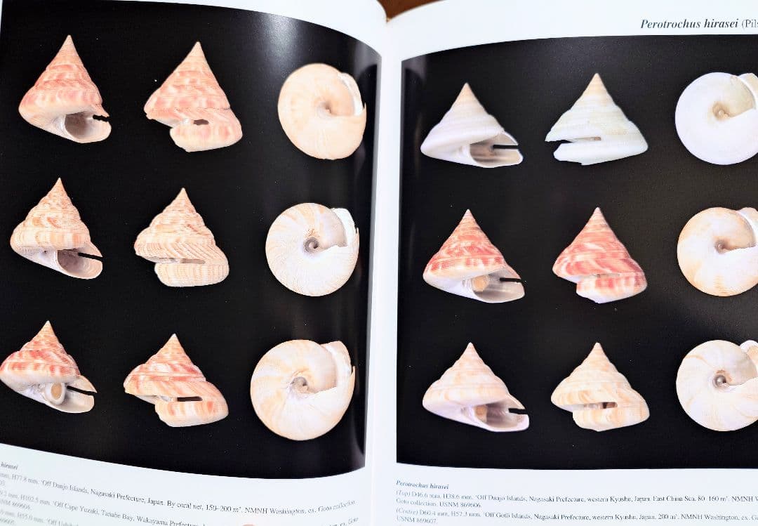 オキナエビス図鑑　洋書