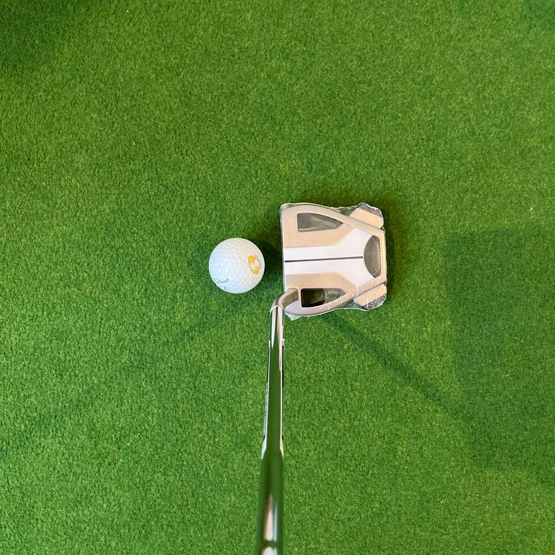 テーラーメイド スパイダーX ハイドロブラスト　フローネック 34インチ