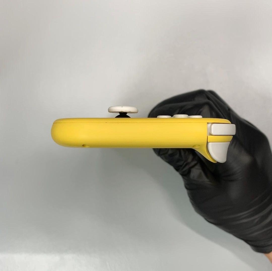 Nintendo Switch Lite 本体 動作品