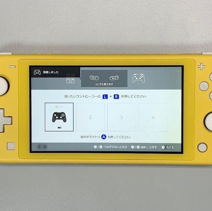 Nintendo Switch Lite 本体 動作品
