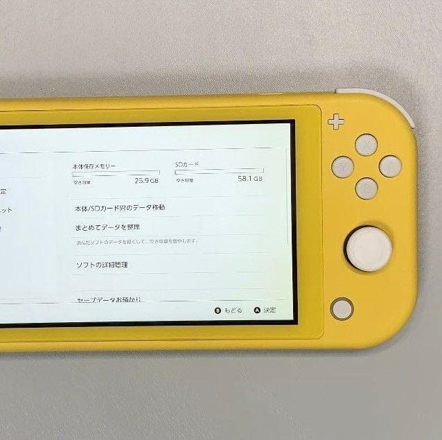 Nintendo Switch Lite 本体 動作品