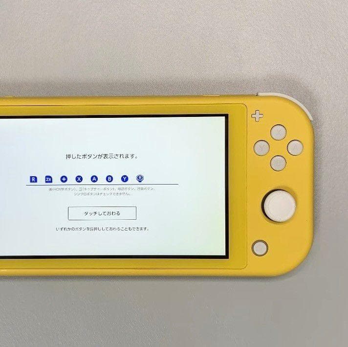 Nintendo Switch Lite 本体 動作品