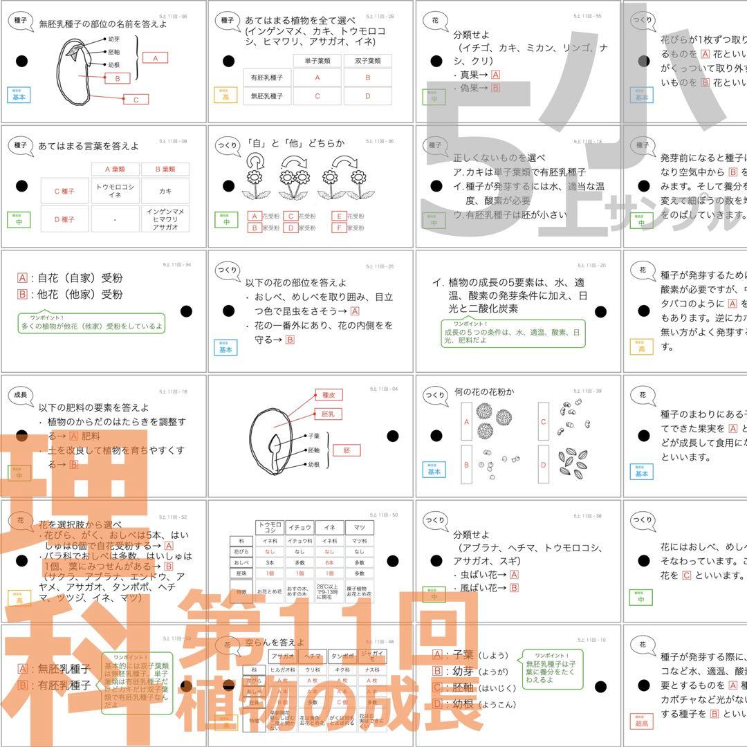 中学受験 暗記カード【5年上 社会・理科11-14回】予習シリーズ 組み分け対策