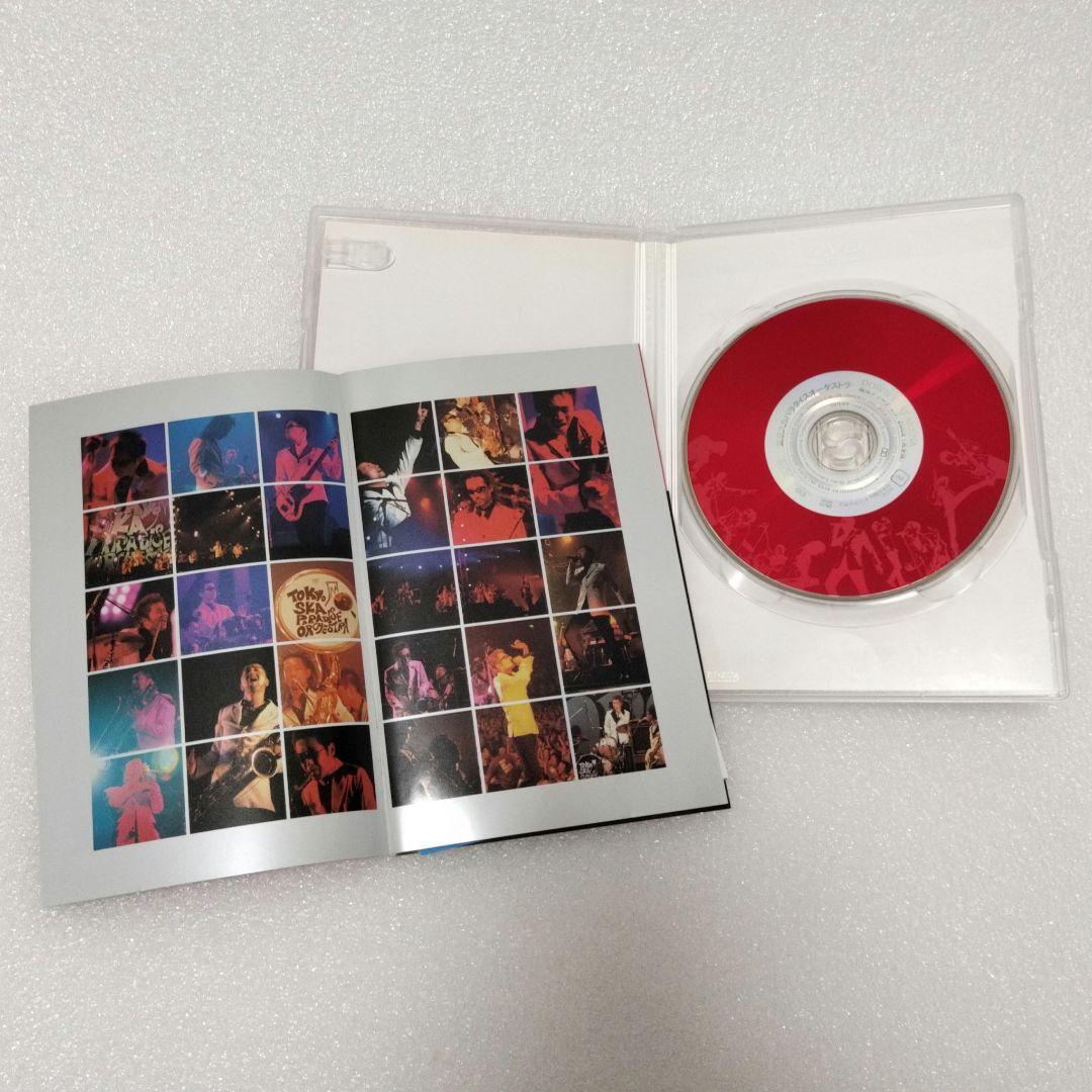 東京スカパラダイスオーケストラ DVD 5枚セット