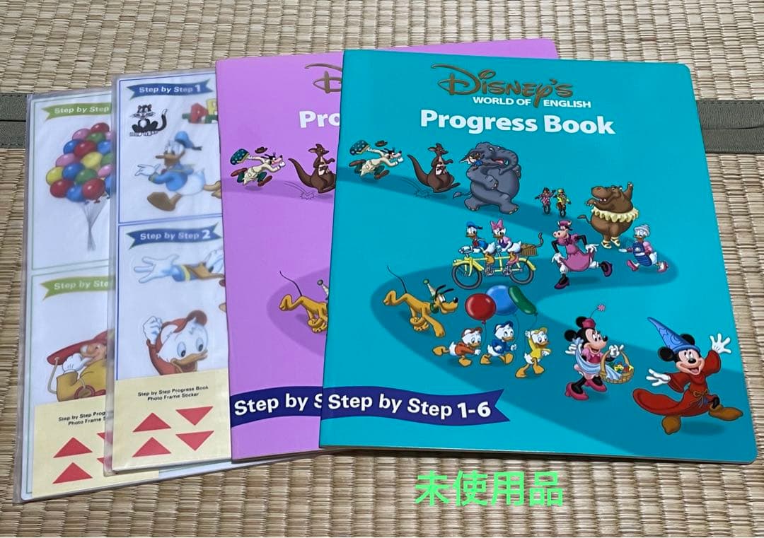 DWE Step by Step ステップバイステップ　正規品