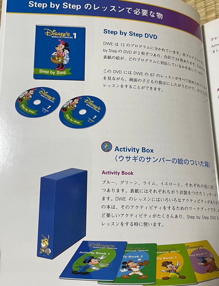 DWE Step by Step ステップバイステップ　正規品