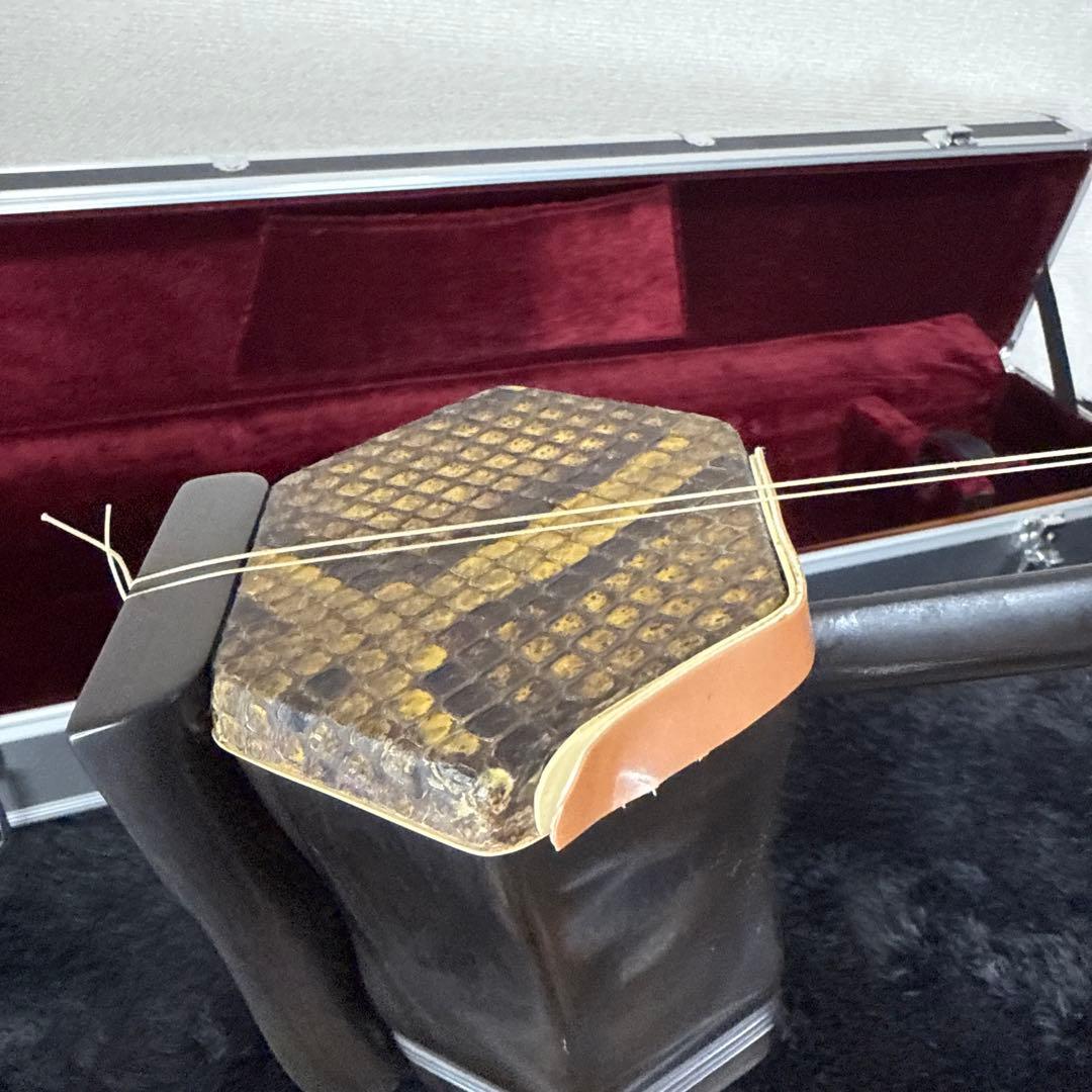 高級 二胡 天華之韻 弦楽器 民族楽器 ハードケース 弓付属