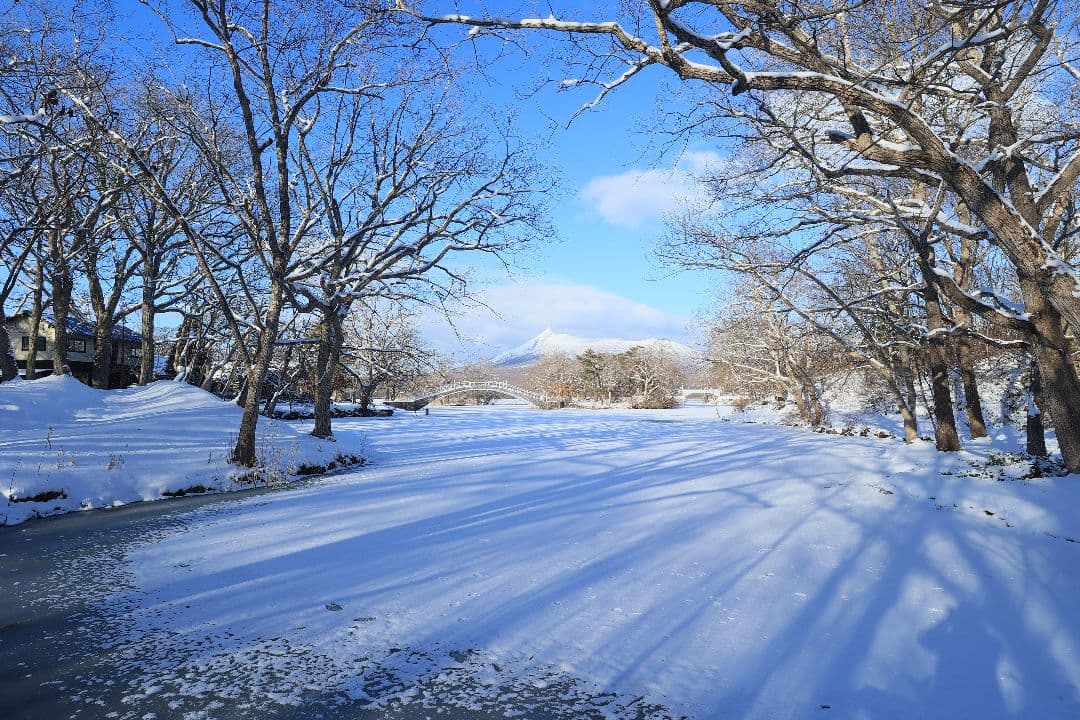 レンズ(単焦点) CANON EF 20mm F2.8 USM